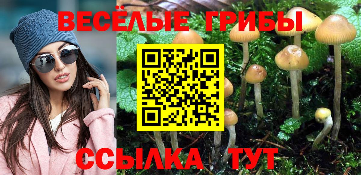 Псилоцибиновые грибы прущие грибы  Вход с VPN  наркота  Красногорск  Галлюциногенные грибы MAGIC MUSHROOMS 