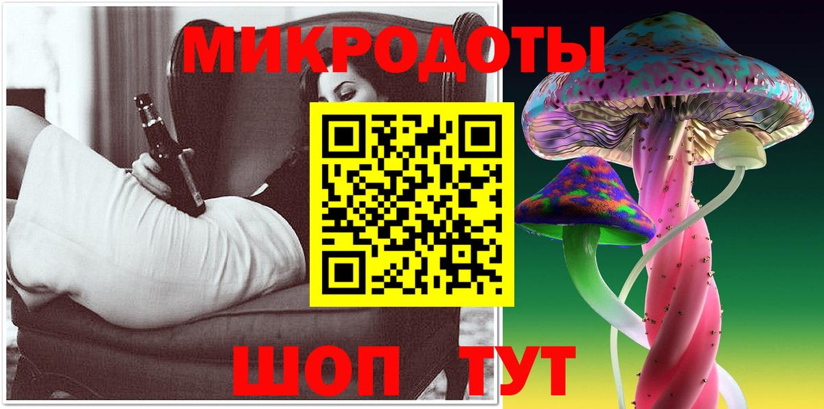 Галлюциногенные грибы Psilocybe Красногорск